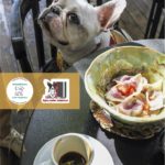 Dog Friendly Moscow