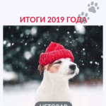 Итоги 2019 года