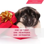 Они – не подарок