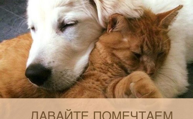 Давайте помечтаем