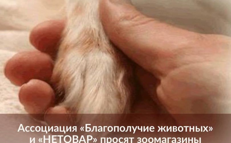 Ассоциация "Благополучие животных" и "Нетовар" просят зоомагазины проявить гуманность