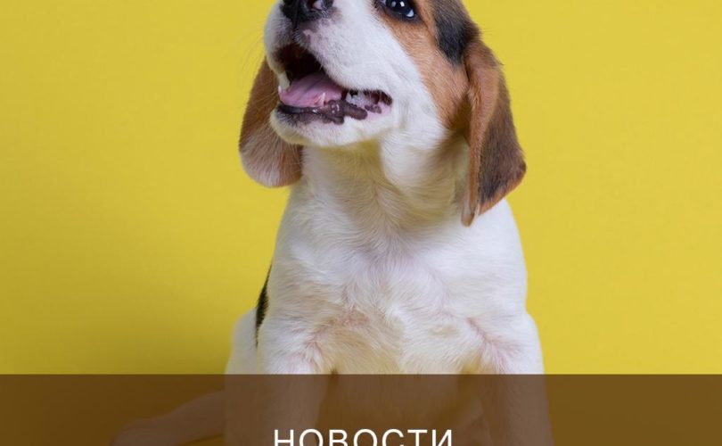 Новости