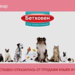 Сеть магазинов “Бетховен” отказалась от продажи кошек и собак