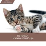Нужна помощь