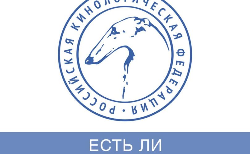 Есть ли у РКФ позиция?