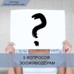 5 вопросов зооживодерам