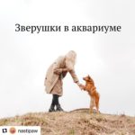 Зверушки в аквариуме @nastipaw