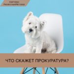 Что скажет прокуратура?